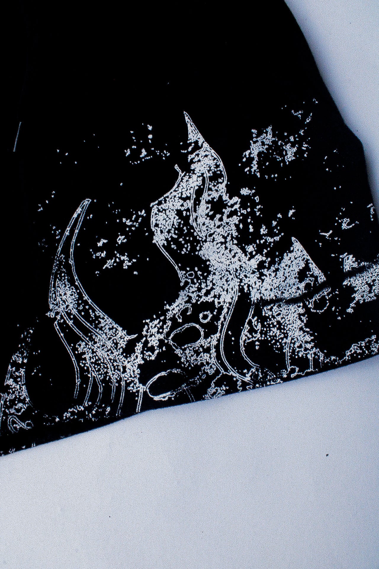 Product Crop Top Sets